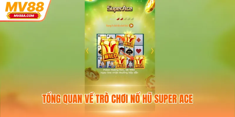 Nổ Hũ Super Ace - Nhận Tiền Thắng Liên Tục Với Hơn 1024 Cách 2 Tổng quan về trò chơi nổ hũ Super Ace