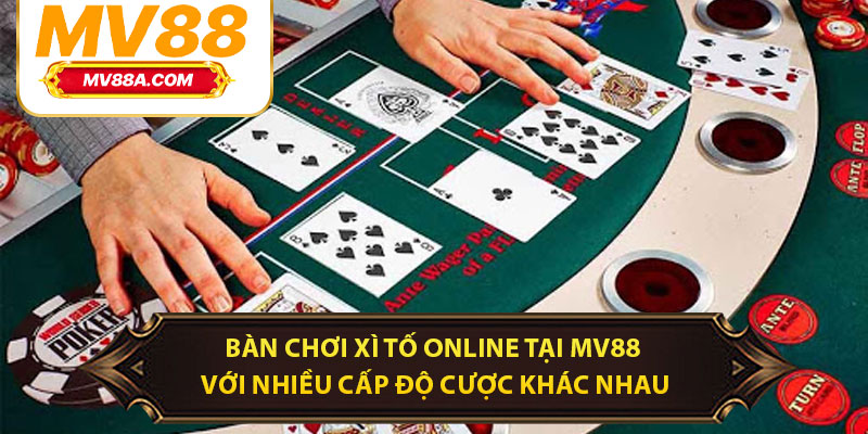 Xì Tố Online MV88 – Luật Chơi Chuẩn Và Bí Kíp Thắng Lớn 2 Bàn chơi xì tố online tại MV88 với nhiều cấp độ cược khác nhau