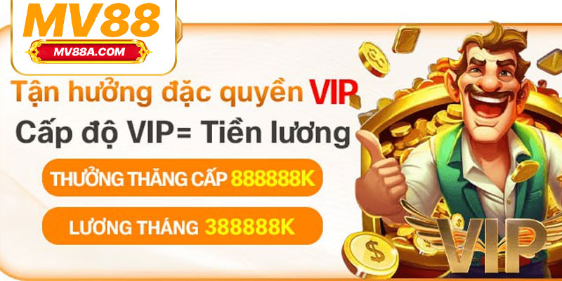 Khuyến Mãi Hoàn Trả MV88 – Nhận Lại Tiền Cược Tới 3% 4 Điều kiện tham gia nhận hoàn trả MV88